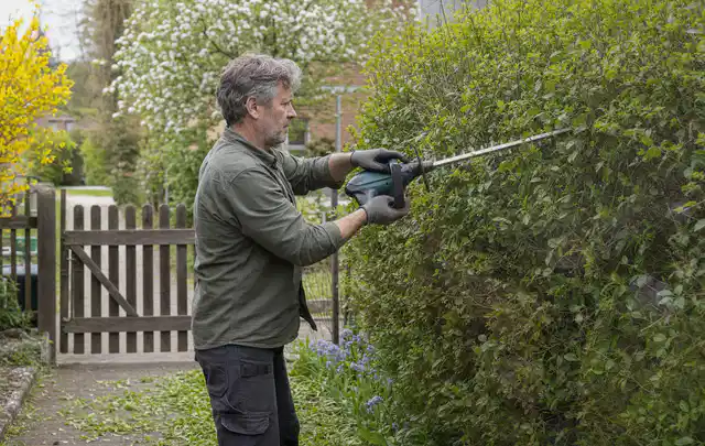 Person schneidet eine Gartenhecke mit einem motorisierten Gartengerät; Thema Motorsensen, Schwerpunkt Vergleich; Praxisalltag.
