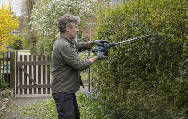 Person schneidet eine Gartenhecke mit einem motorisierten Gartengerät; Thema Motorsensen, Schwerpunkt Winterlager; Praxisalltag.
