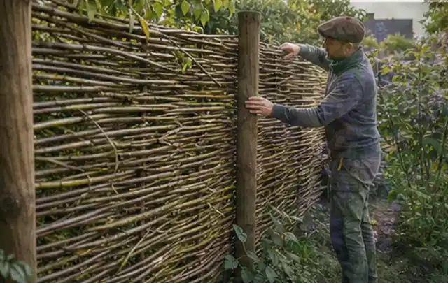 Person befestigt geflochtene Weidenruten an stabilen Holzpfosten im Garten; Thema Naturgarten, Schwerpunkt Beleuchtung; Umsetzung.