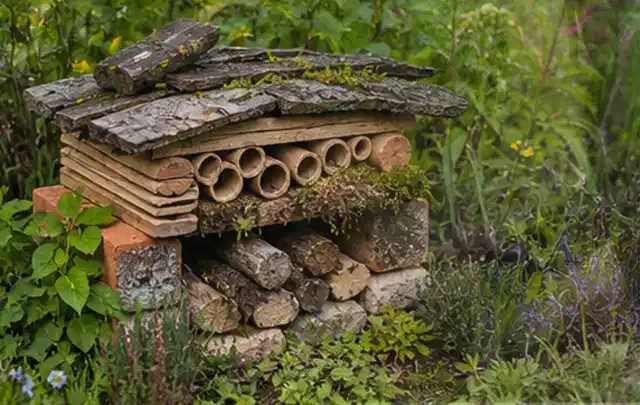 Naturnaher Unterschlupf aus Holz Rinde und Pflanzenstängeln im Garten; Thema Naturgarten, Schwerpunkt Bepflanzung; Umsetzung.