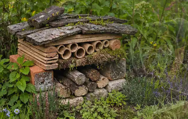 Naturnaher Unterschlupf aus Holz Rinde und Pflanzenstängeln im Garten; Thema Naturgarten, Schwerpunkt Pflegeleichtigkeit; Ausgangslage.