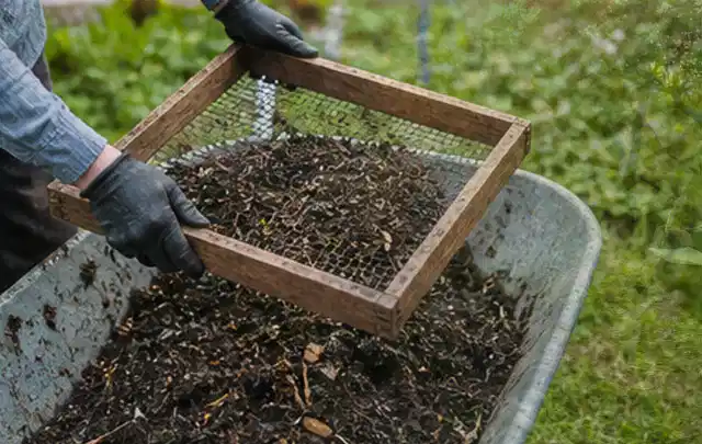 Behandschuhte Hände sieben reifen Kompost über einer Gartenschubkarre; Thema Obst, Schwerpunkt Themenwelt; Ergebnis.