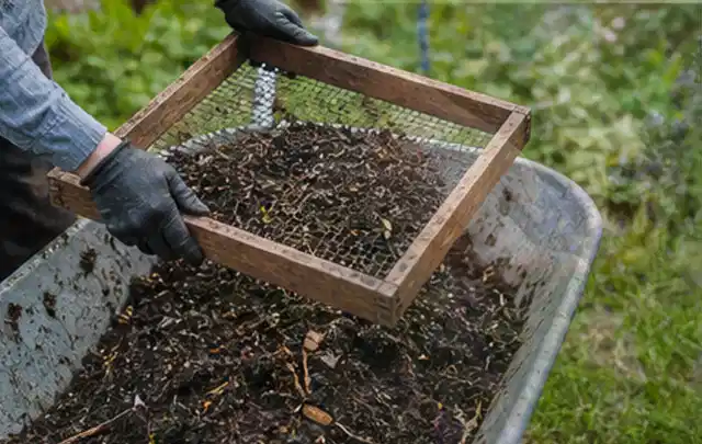 Behandschuhte Hände sieben reifen Kompost über einer Gartenschubkarre; Thema Oregano, Schwerpunkt Ernteprobleme; Ausgangslage.