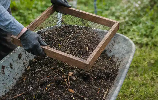 Behandschuhte Hände sieben reifen Kompost über einer Gartenschubkarre; Thema Oregano, Schwerpunkt Saisonkalender; Umsetzung.