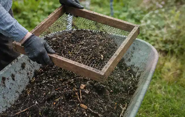 Behandschuhte Hände sieben reifen Kompost über einer Gartenschubkarre; Thema Paprika, Schwerpunkt Balkongarten; Umsetzung.
