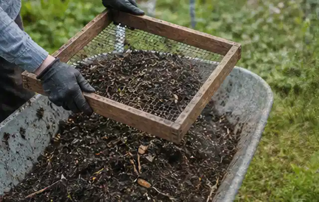 Behandschuhte Hände sieben reifen Kompost über einer Gartenschubkarre; Thema Paprika, Schwerpunkt Gesundheit; Ergebnis.