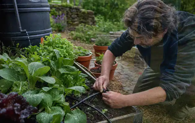 Person stellt die Bewässerung an einem bepflanzten Hochbeet ein; Thema Perlschläuche, Schwerpunkt Gärten mit kleiner Fläche; Ausgangslage.