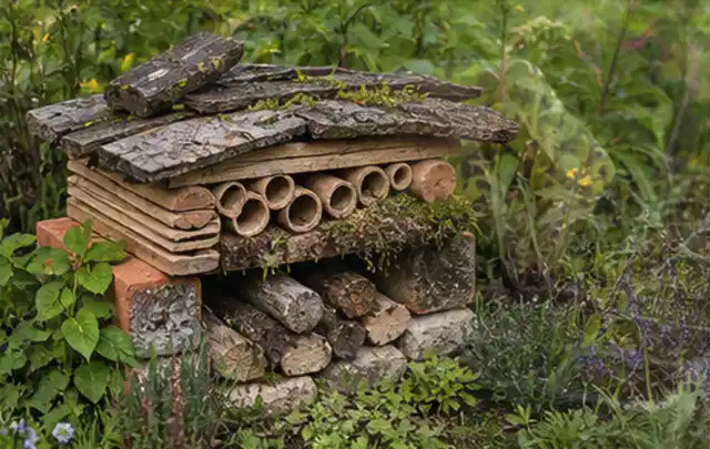 Naturnaher Unterschlupf aus Holz Rinde und Pflanzenstängeln im Garten; Thema Pflanzenpilze, Schwerpunkt Biologie; Kontrolle.
