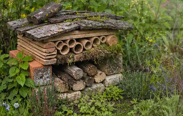 Naturnaher Unterschlupf aus Holz Rinde und Pflanzenstängeln im Garten; Thema Pflanzenpilze, Schwerpunkt Gewächshaus; Umsetzung.