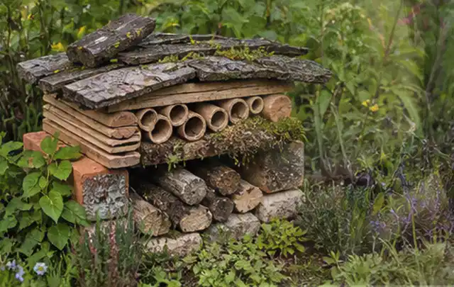 Naturnaher Unterschlupf aus Holz Rinde und Pflanzenstängeln im Garten; Thema Pflanzenpilze, Schwerpunkt Hausmittel; Umsetzung.