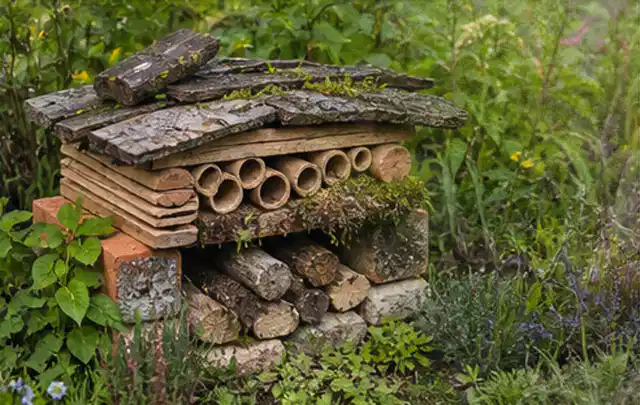 Naturnaher Unterschlupf aus Holz Rinde und Pflanzenstängeln im Garten; Thema Pflanzenpilze, Schwerpunkt Natürliche Bekämpfung; Kontrolle.
