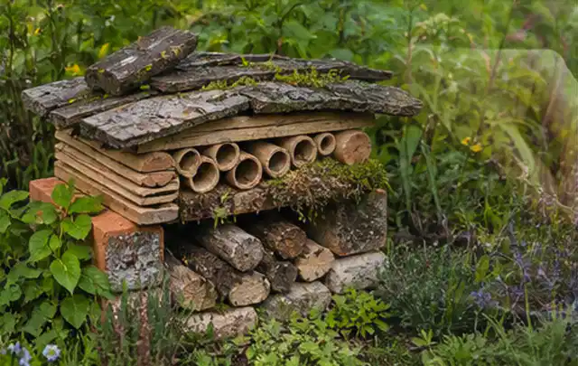 Naturnaher Unterschlupf aus Holz Rinde und Pflanzenstängeln im Garten; Thema Pflanzenpilze, Schwerpunkt Vorbeugung; Umsetzung.