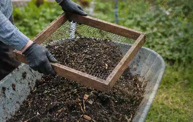Behandschuhte Hände sieben reifen Kompost über einer Gartenschubkarre; Thema Pflanzkalender, Schwerpunkt Ratgeber; Kontrolle.