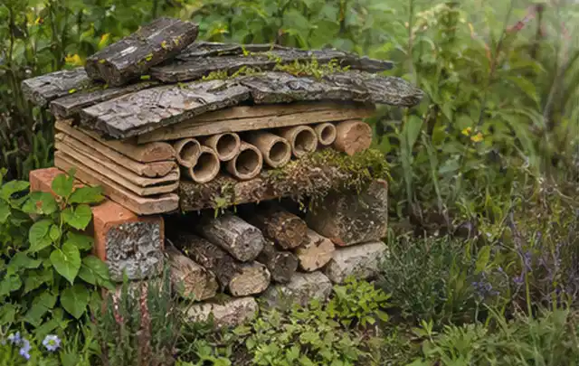 Naturnaher Unterschlupf aus Holz Rinde und Pflanzenstängeln im Garten; Thema Pflegeleichter Garten, Schwerpunkt Beleuchtung; Ausgangslage.