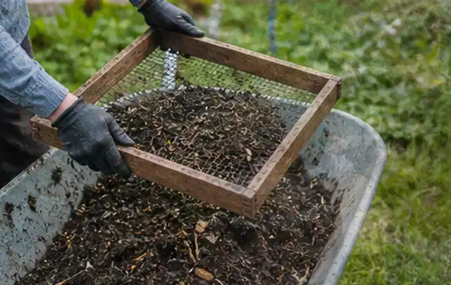 Behandschuhte Hände sieben reifen Kompost über einer Gartenschubkarre; Thema Polycarbonat Gewächshaus, Schwerpunkt Aufbau; Kontrolle.