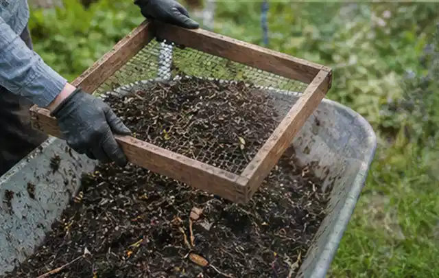 Behandschuhte Hände sieben reifen Kompost über einer Gartenschubkarre; Thema Polycarbonat Gewächshaus, Schwerpunkt Baurecht; Kontrolle.