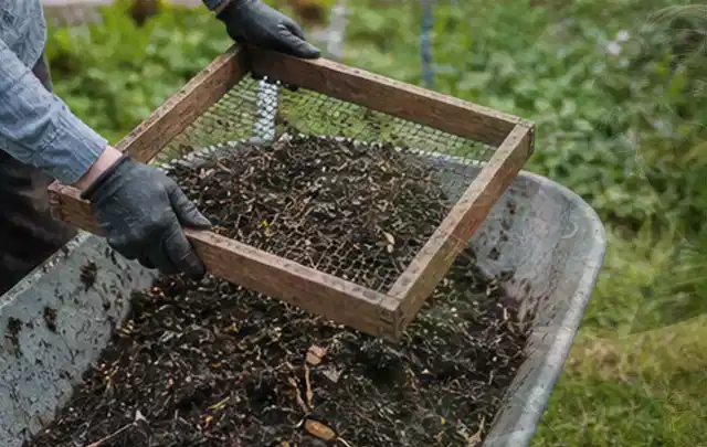 Behandschuhte Hände sieben reifen Kompost über einer Gartenschubkarre; Thema Polycarbonat Gewächshaus, Schwerpunkt Checkliste; Ergebnis.