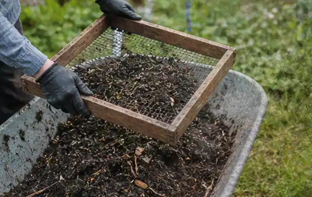 Behandschuhte Hände sieben reifen Kompost über einer Gartenschubkarre; Thema Polycarbonat Gewächshaus, Schwerpunkt Dimensionierung; Kontrolle.
