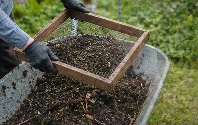 Behandschuhte Hände sieben reifen Kompost über einer Gartenschubkarre; Thema Polycarbonat Gewächshaus, Schwerpunkt Kosten; Ergebnis.