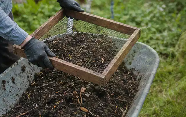 Behandschuhte Hände sieben reifen Kompost über einer Gartenschubkarre; Thema Polycarbonat Gewächshaus, Schwerpunkt Materialwahl; Ausgangslage.