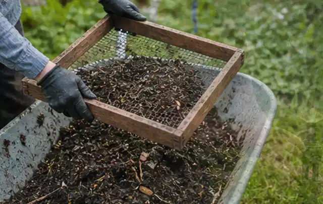 Behandschuhte Hände sieben reifen Kompost über einer Gartenschubkarre; Thema Polycarbonat Gewächshaus, Schwerpunkt Pflege; Umsetzung.