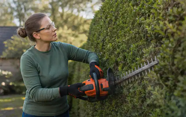 Person schneidet eine dichte Gartenhecke mit Schutzbrille und sicherem Stand; Thema Preischeck, Schwerpunkt Produktberatung; Ergebnis.