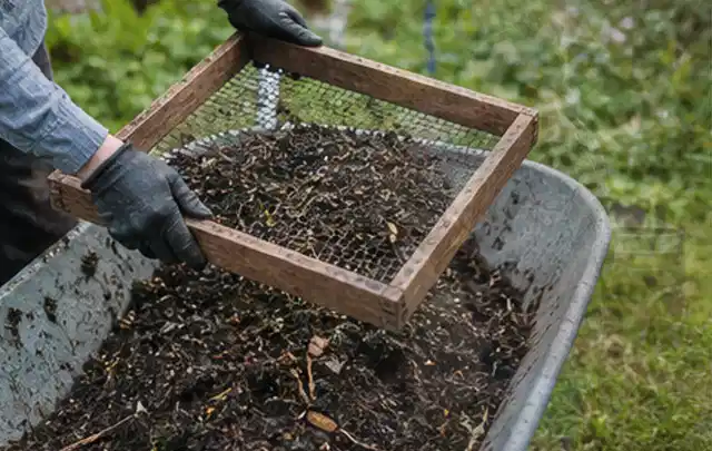 Behandschuhte Hände sieben reifen Kompost über einer Gartenschubkarre; Thema Radieschen, Schwerpunkt Anbau; Ergebnis.