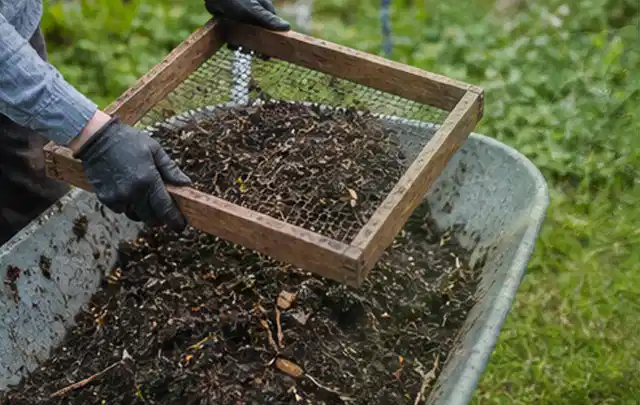 Behandschuhte Hände sieben reifen Kompost über einer Gartenschubkarre; Thema Radieschen, Schwerpunkt Einsteigerwissen; Kontrolle.