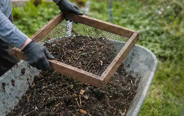 Behandschuhte Hände sieben reifen Kompost über einer Gartenschubkarre; Thema Radieschen, Schwerpunkt Ernte; Umsetzung.