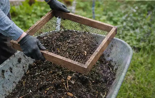 Behandschuhte Hände sieben reifen Kompost über einer Gartenschubkarre; Thema Radieschen, Schwerpunkt Lagerung; Praxisalltag.