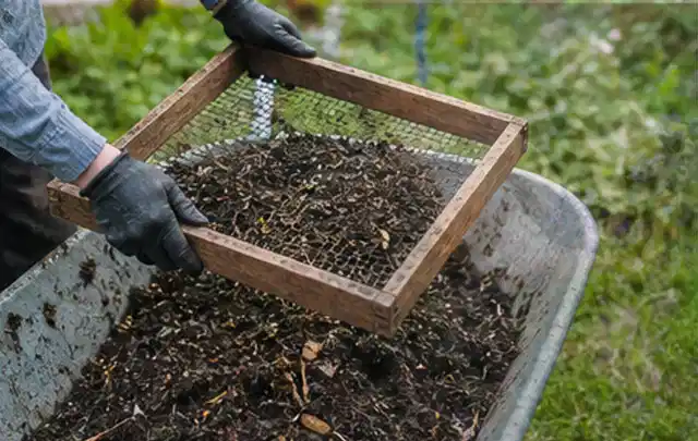 Behandschuhte Hände sieben reifen Kompost über einer Gartenschubkarre; Thema Radieschen, Schwerpunkt Pflanzenschutz; Kontrolle.