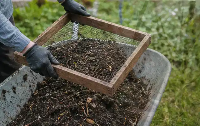 Behandschuhte Hände sieben reifen Kompost über einer Gartenschubkarre; Thema Radieschen, Schwerpunkt Sortenwahl; Praxisalltag.