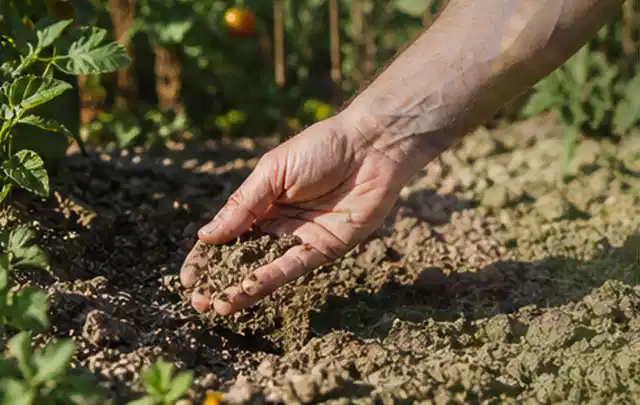 Hand prüft trockene krümelige Gartenerde während einer warmen Sommerphase; Thema Rain Bird Bewässerung, Schwerpunkt Kaufberatung; Praxisalltag.