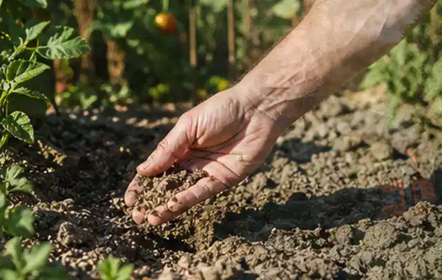 Hand prüft trockene krümelige Gartenerde während einer warmen Sommerphase; Thema Rain Bird Bewässerung, Schwerpunkt Kosten; Praxisalltag.