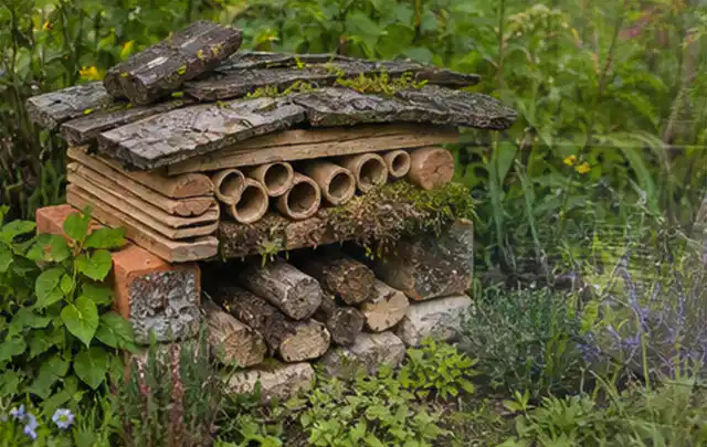 Naturnaher Unterschlupf aus Holz Rinde und Pflanzenstängeln im Garten; Thema Rankpflanzen als Sichtschutz, Schwerpunkt Materialwahl; Umsetzung.