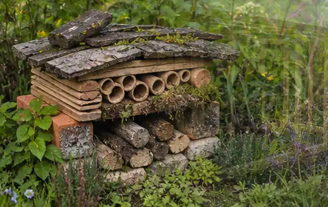 Naturnaher Unterschlupf aus Holz Rinde und Pflanzenstängeln im Garten; Thema Rankpflanzen als Sichtschutz, Schwerpunkt Nachhaltigkeit; Kontrolle.