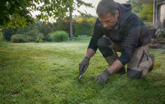 Person prüft den Boden einer gepflegten Rasenfläche im Garten; Thema Rasendünger, Schwerpunkt Checkliste; Praxisalltag.