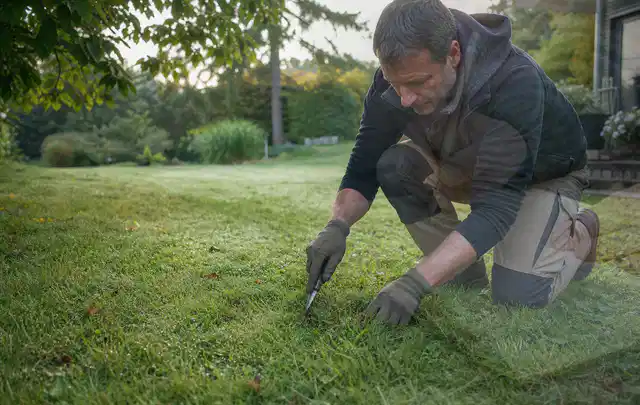 Person prüft den Boden einer gepflegten Rasenfläche im Garten; Thema Rasendünger, Schwerpunkt Frühjahr; Kontrolle.