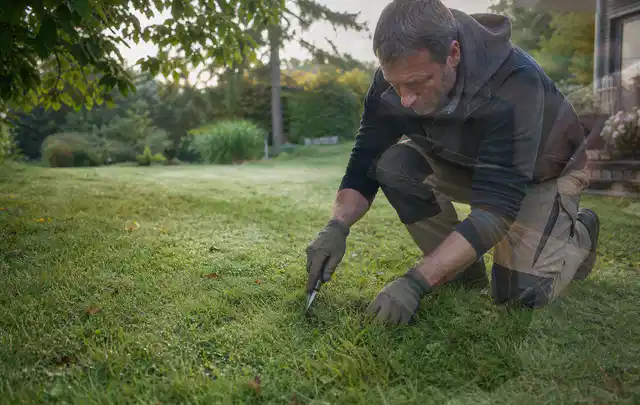 Person prüft den Boden einer gepflegten Rasenfläche im Garten; Thema Rasendünger, Schwerpunkt Herbstpflege; Kontrolle.