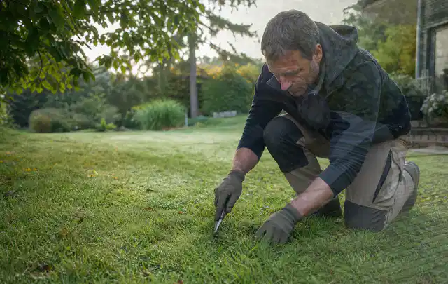 Person prüft den Boden einer gepflegten Rasenfläche im Garten; Thema Rasendünger, Schwerpunkt Hitzeschutz; Ergebnis.