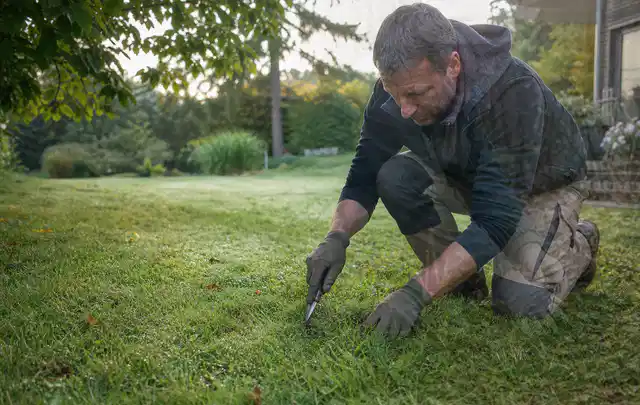 Person prüft den Boden einer gepflegten Rasenfläche im Garten; Thema Rasendünger, Schwerpunkt Rasen; Umsetzung.
