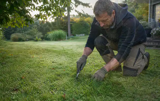 Person prüft den Boden einer gepflegten Rasenfläche im Garten; Thema Rasendünger, Schwerpunkt Sommerpflege; Kontrolle.
