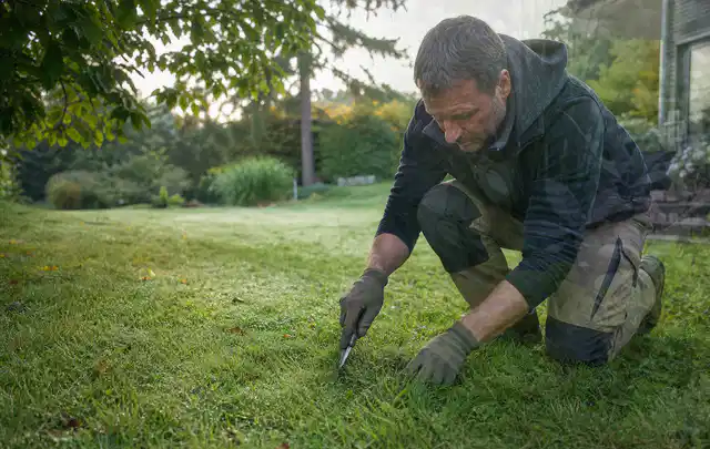 Person prüft den Boden einer gepflegten Rasenfläche im Garten; Thema Rasenkrankheiten, Schwerpunkt Fehlerhilfe; Praxisalltag.