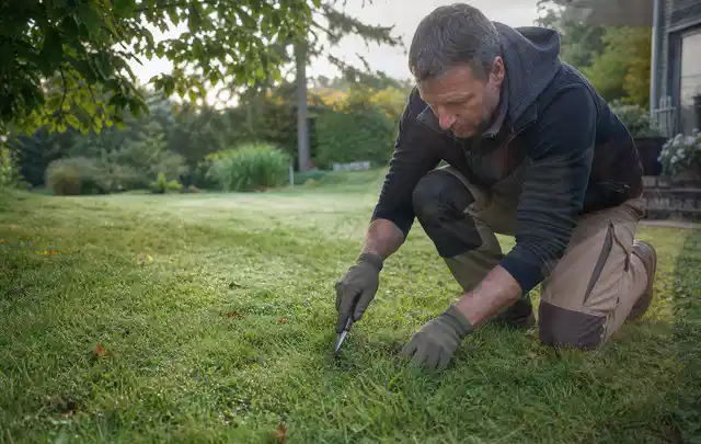 Person prüft den Boden einer gepflegten Rasenfläche im Garten; Thema Rasenkrankheiten, Schwerpunkt Frühjahr; Ergebnis.