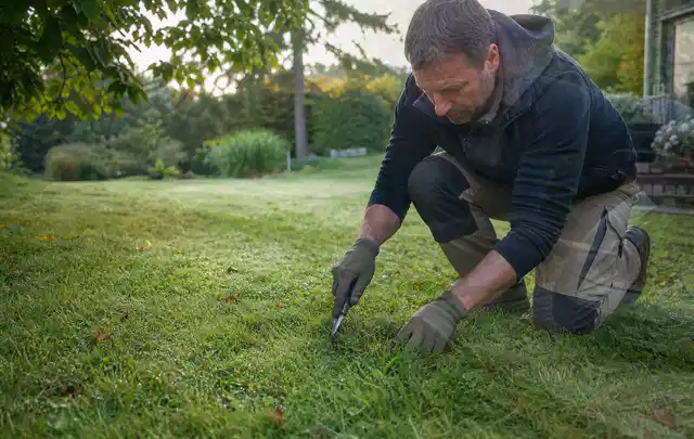 Person prüft den Boden einer gepflegten Rasenfläche im Garten; Thema Rasenkrankheiten, Schwerpunkt Sommerpflege; Kontrolle.