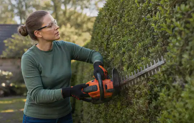 Person schneidet eine dichte Gartenhecke mit Schutzbrille und sicherem Stand; Thema Rasenmäher, Schwerpunkt Bestenliste; Praxisalltag.