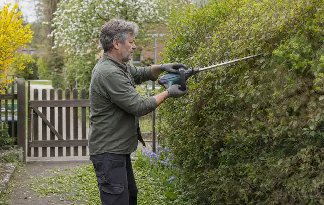 Person schneidet eine Gartenhecke mit einem motorisierten Gartengerät; Thema Rasenmäher, Schwerpunkt Checkliste; Ausgangslage.
