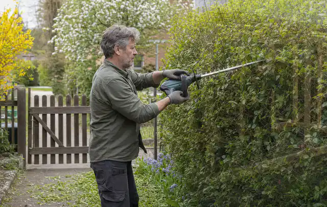 Person schneidet eine Gartenhecke mit einem motorisierten Gartengerät; Thema Rasenmäher, Schwerpunkt Fehlerhilfe; Umsetzung.