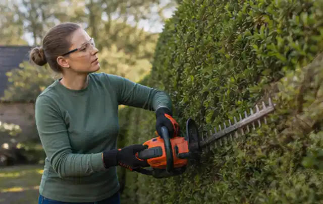 Person schneidet eine dichte Gartenhecke mit Schutzbrille und sicherem Stand; Thema Rasenmäher, Schwerpunkt Gärten mit großer Fläche; Kontrolle.