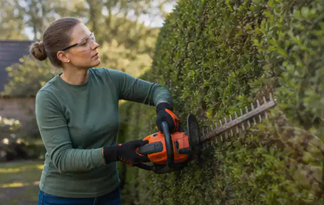 Person schneidet eine dichte Gartenhecke mit Schutzbrille und sicherem Stand; Thema Rasenmäher, Schwerpunkt Gärten mit kleiner Fläche; Ausgangslage.